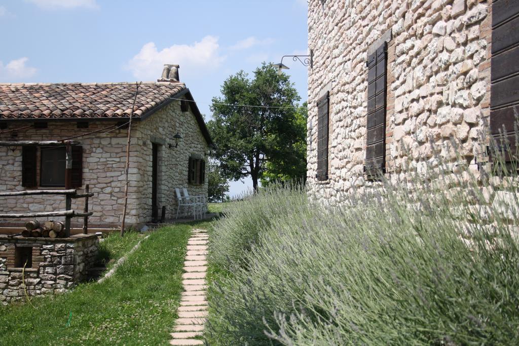 Agriturismo Valdifiori Sassoferrato Exterior photo